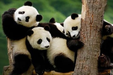 Private 4 days Nami Island&Petite France&Seoul&Everland tour