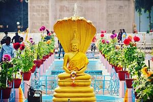 All Inclusive 3-hour tour of Sarnath from Varanasi w/ Hotel Pick-up and drop-off