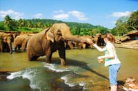 Make your honeymoon memorable with this romantic honeymoon package to Sri Lanka. 8