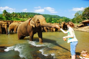 5-Day Romantic Adventure Tour of Sri Lanka for Honeymooners
