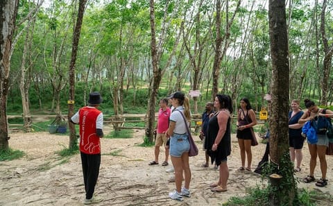 30-Minutes Guided Tour & Transfer to Khaolak Elephant Sanctuary