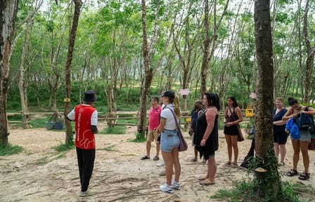 30-Minutes Guided Tour & Transfer to Khaolak Elephant Sanctuary