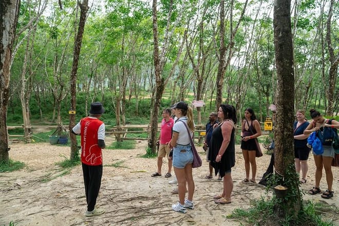 30-Minutes Guided Tour & Transfer to Khaolak Elephant Sanctuary preview 3