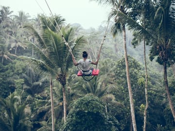 Best of Ubud with Jungle Swing Tour