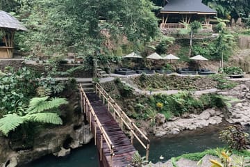 Eco Bike Tour from Bali Peaks to Pura Tirta Empul