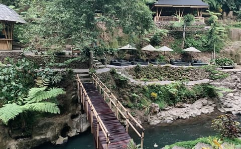 Eco Bike Tour from Bali Peaks to Pura Tirta Empul