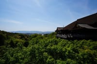 Kyoto Early Morning E Biking Tour Fushimi Inari Kiyomizu Temple 6