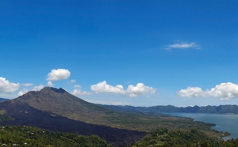 Mount Batur Sunrise Hiking and Coffee Plantation Bali Tour