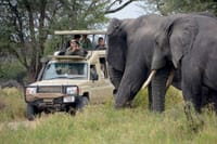 Game drives at Masai mara