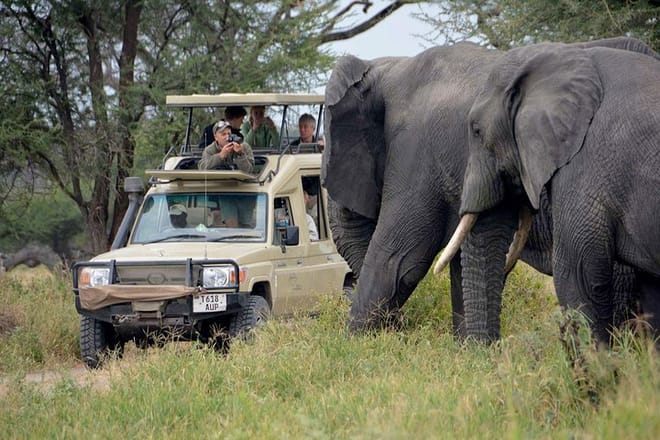Game drives at Masai mara