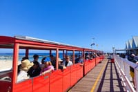 Jetty train to the deep ocean