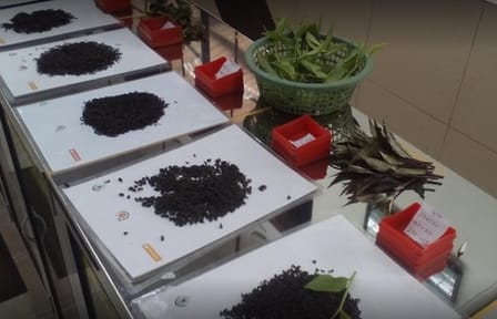 Tea Factory and Cultural Tour in Ambalangoda, Sri Lanka