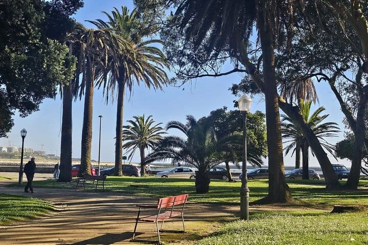 Private Porto City Tour with Seafood Lunch and Coastal Views