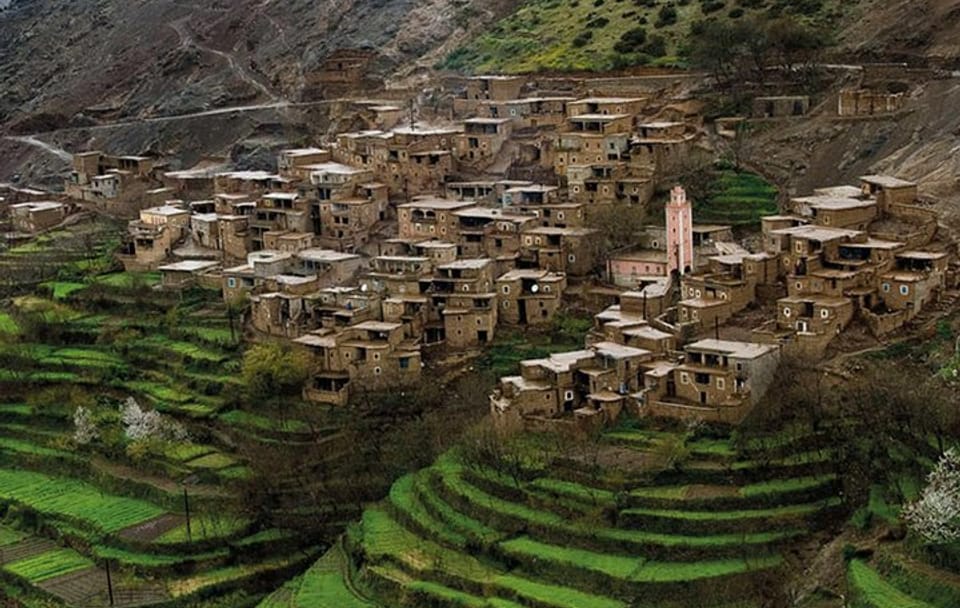 Atlas Mountains and Essaouira in 1 Night Private Tour From Marrakesh