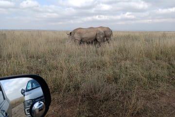Private Nairobi Park Tour & Sheldrick or Giraffe-Free WI FI