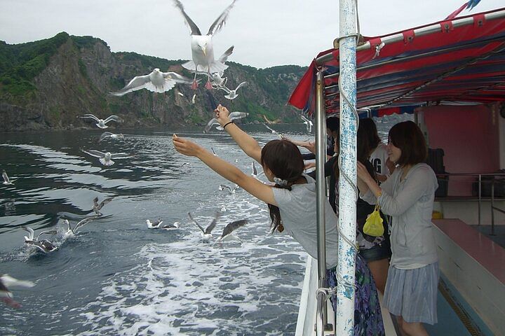 Cape Kamui Shakotan Day Tour in Hokkaido