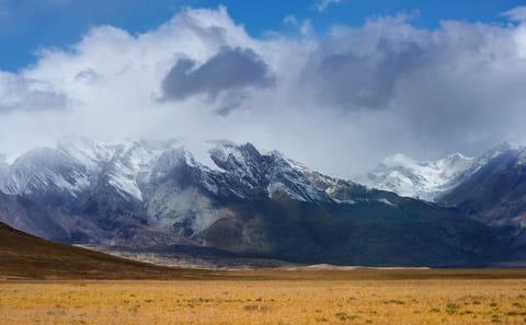 Tamang Heritage Homestay Trek in Langtang Valley for 9 Days