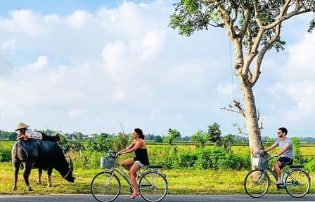 Fishing and Carpentry Villages Tour in Hoi An Countryside