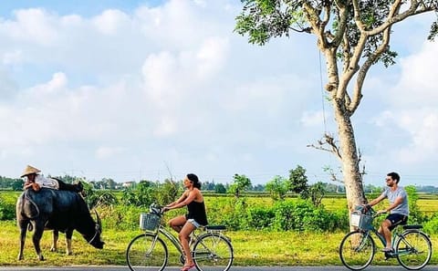 Fishing and Carpentry Villages Tour in Hoi An Countryside