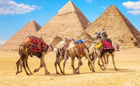Cairo Day Tour with Grand Egyptian Museum from Sharm El-Sheikh