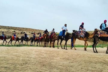 Camel Ride Through Scenic Ourika Valley from Marrakech