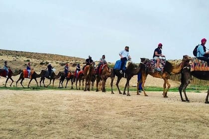 Camel excursion on the road to Ourika from Marrakech