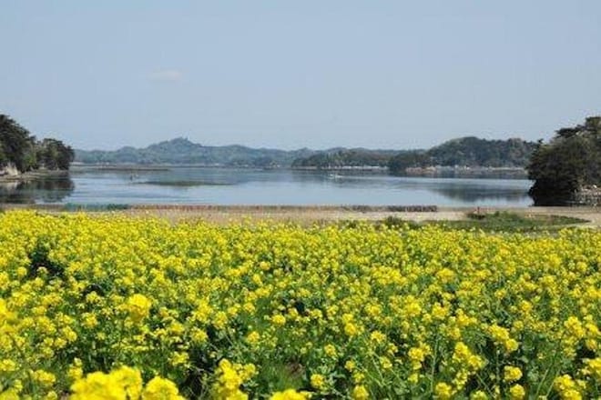 Explore Tohoku - Experience Mochi Making and See Local Life in Ichinoseki photo 6