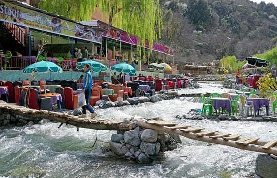 Shared Day Trip: Ourika Valley & Atlas Mountains from Marrakech