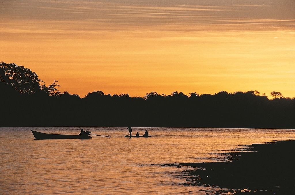 Amazon Jungle Adventure: Wildlife Exploration in Puerto Maldonado