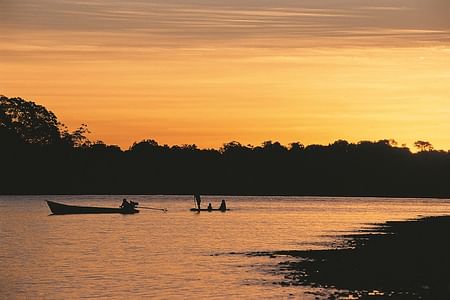 Amazon Jungle Adventure: Wildlife Exploration in Puerto Maldonado