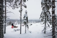 Self-Driving Husky Tour 7-kilometers 5