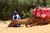 Camel riding with BBQ and sunset 7