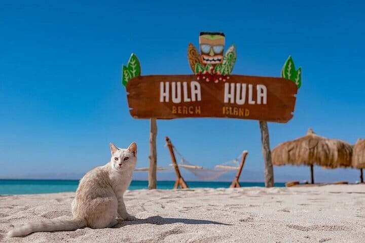 Hula Hula Island Snorkeling Sea Trip Full Day &amp; Lunch - Hurghada