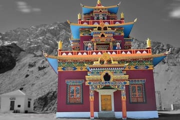Explore the North Indian Himalayas: Shimla to Manali Tour