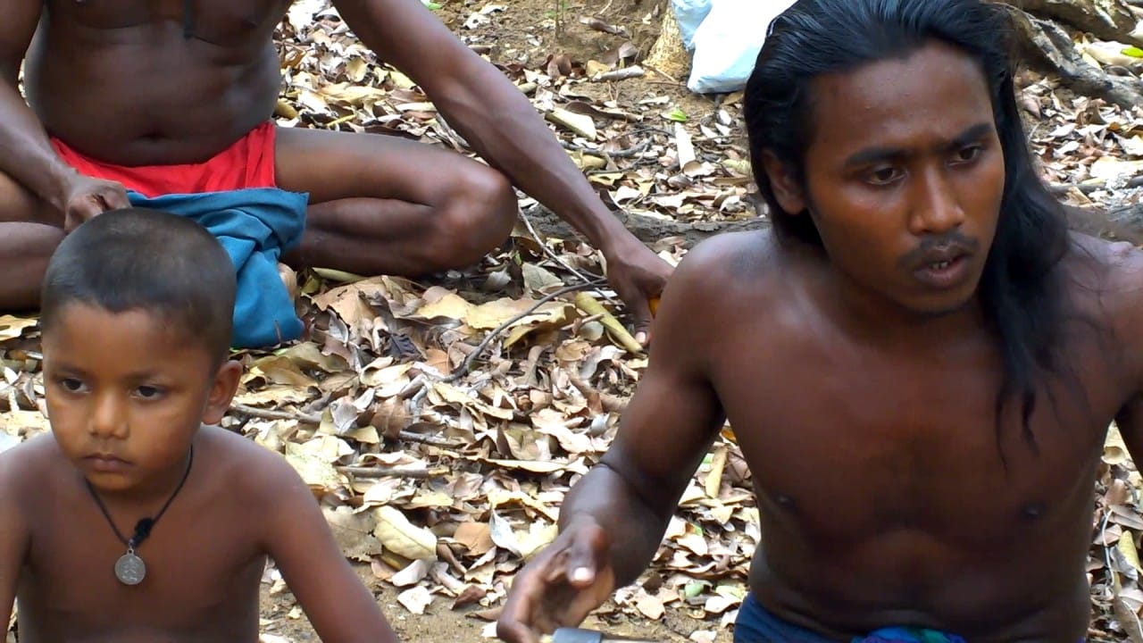 Wadda Village Camping Mahiyanganaya 2