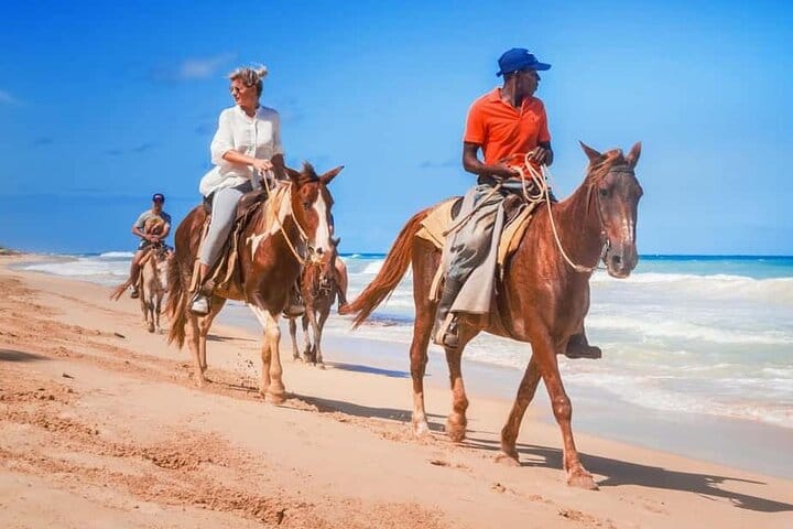 Two Hours Adventure Horse Riding In Hurghada 8