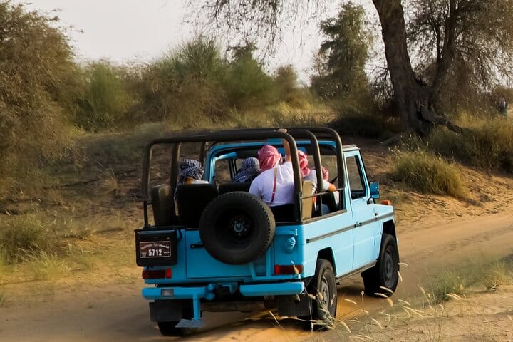 Dubai Heritage Safari in Vintage Land Rover Al Marmoom Oasis 8