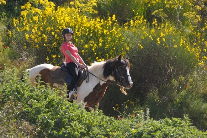 Kusadasi: Horse Riding Beach and Forest options with Transfer 8