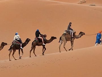 Experience a camel trek in the Erg Chebbi sand dunes