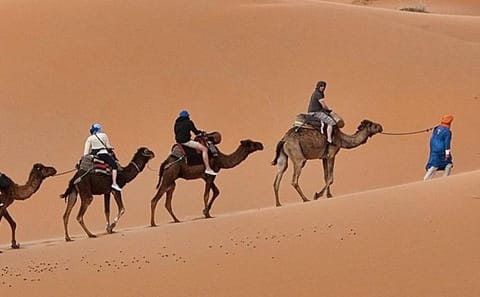 4-Day Luxury Sahara Desert Adventure from Marrakech