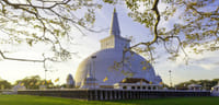 Sri Lanka Heritage, Village Life, Wildlife & Coastal Escape – 15 Days / 14 Nights 7