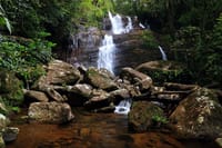 Sinharaja Rain Forest Tour from Bentota 7