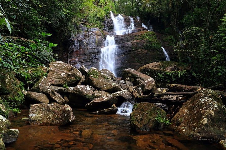 Sinharaja Rain Forest Tour from Bentota 7