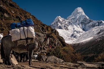 29 days Mt. Everest AMA DABLAM Expedition