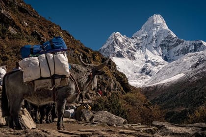 29 days Mt. Everest AMA DABLAM Expedition