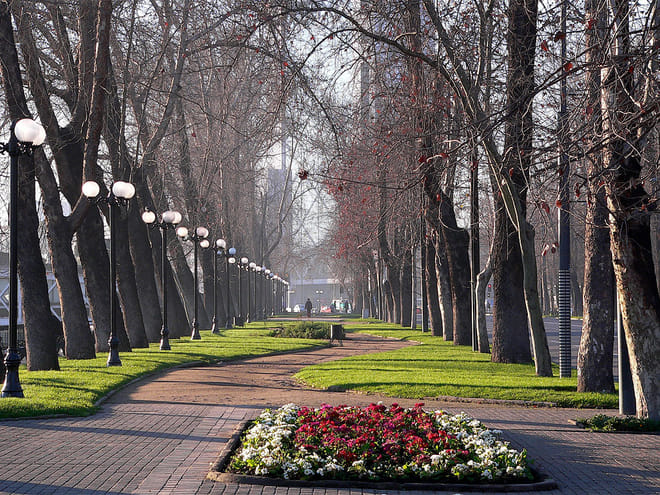Private Santiago Express City Tour 7