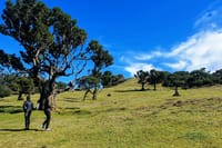 West volcanic pools & Unesco 4x4 Tour 4