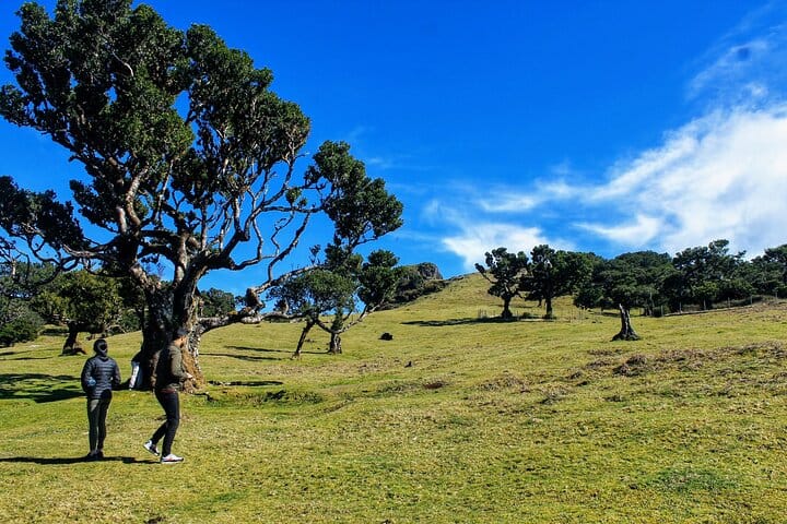 West volcanic pools & Unesco 4x4 Tour 4
