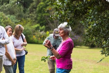 Photography Tour of Kiambethu Tea Farm from Nairobi