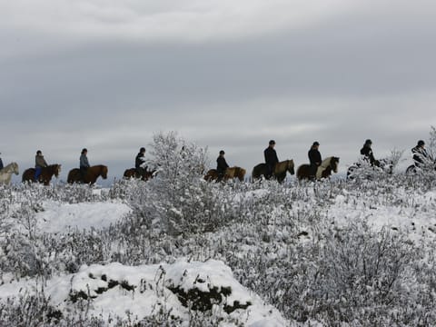 Private Horseback Riding Tour, photo 2
